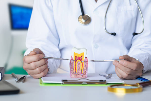 Best Pediatric Emergency Dentist in Ridgefield Park, NJ